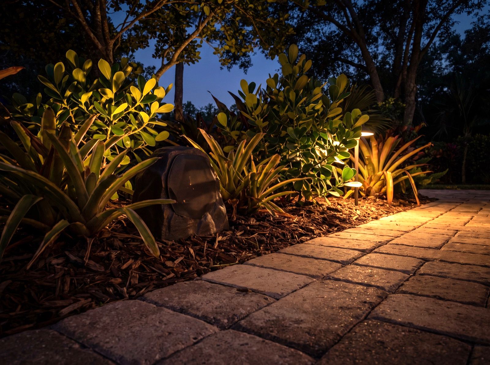 A low-profile outdoor speaker set among bromeliads beside a warmly lit paver path