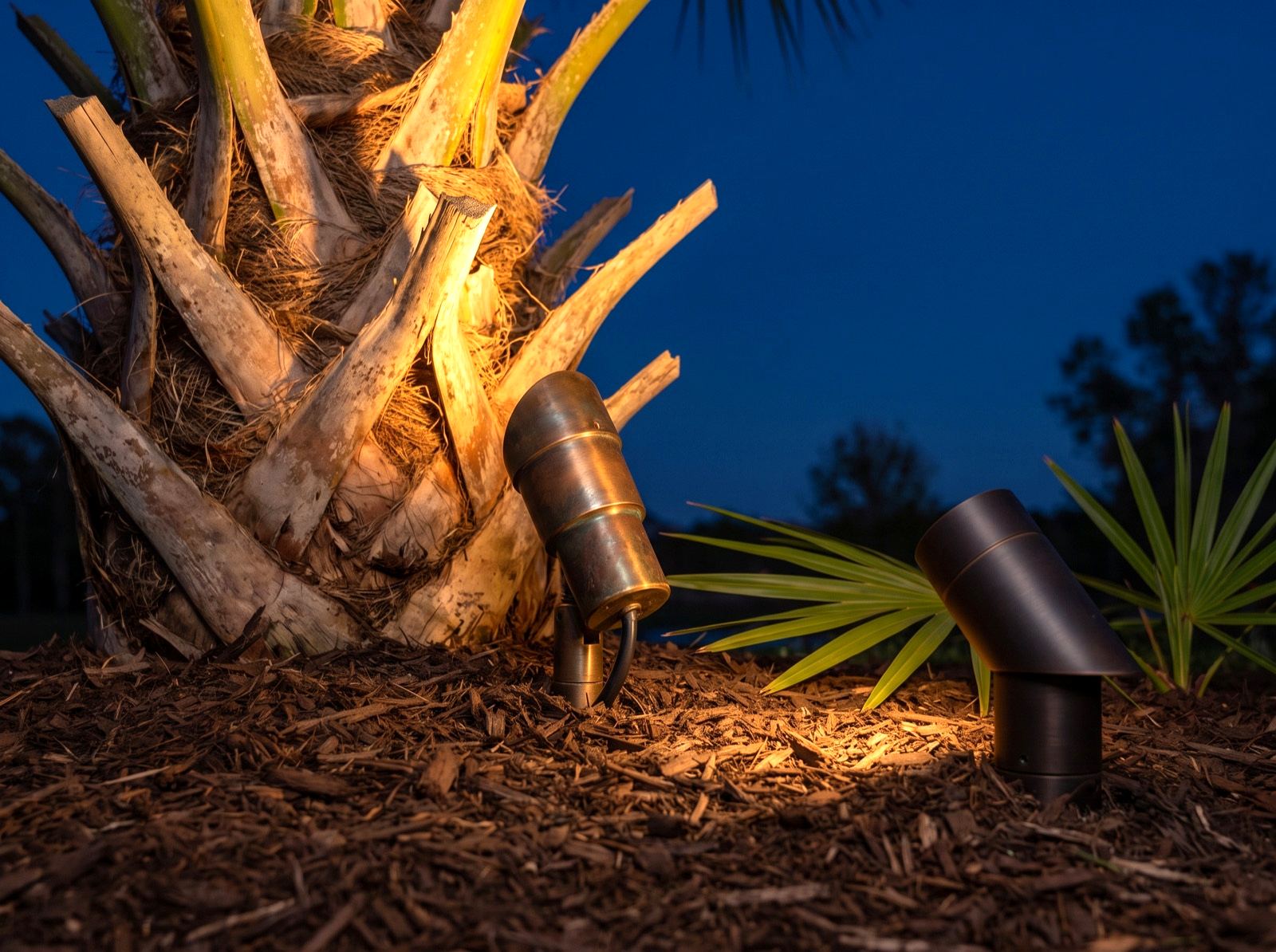 Two cast brass low-voltage fixtures uplighting a sabal palm trunk at dusk